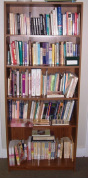 Tall bookshelf of books