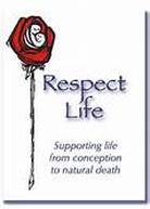 Respect Life paper rose
